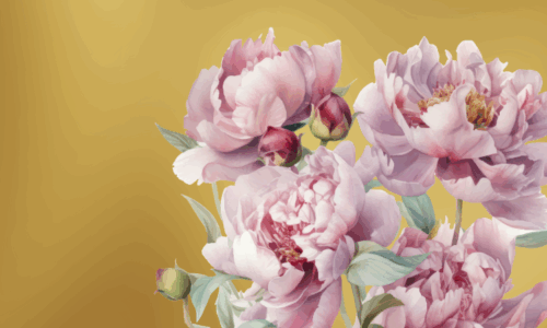 Gold Program for individual