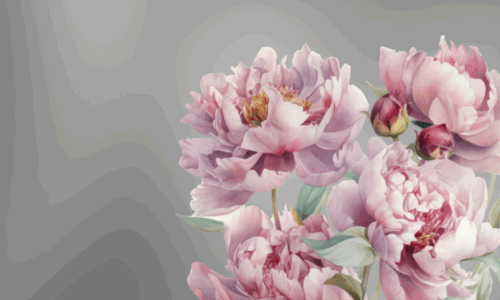 Silver Program for individual